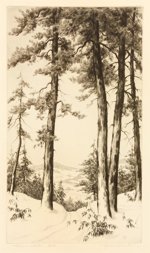Pines in Winter by R. W. Woiceske - Davidson Galleries