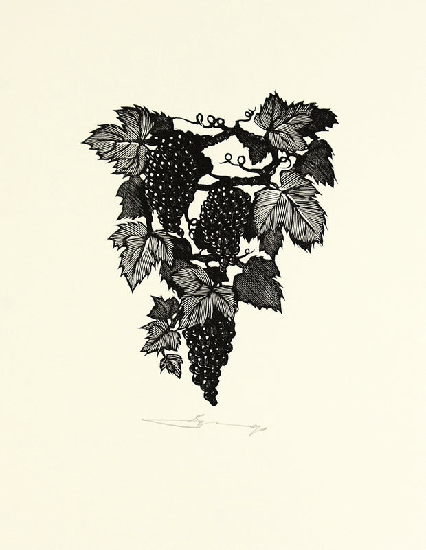 Grapes by Barry Moser - Davidson Galleries