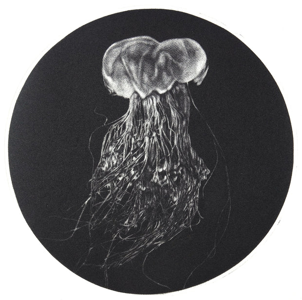 Lions Mane Jellyfish by Trevor Foster - Davidson Galleries