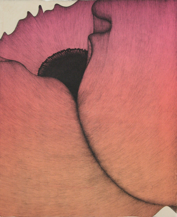 Pink Poppy by Art Hansen - Davidson Galleries
