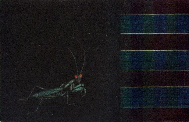 Mantis Goes by Seiichi Hiroshima - Davidson Galleries