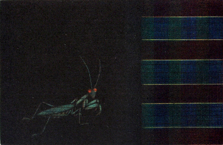Mantis Goes by Seiichi Hiroshima - Davidson Galleries