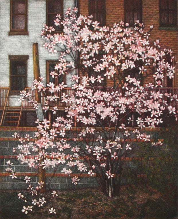 Magnolias by Frederick Mershimer - Davidson Galleries