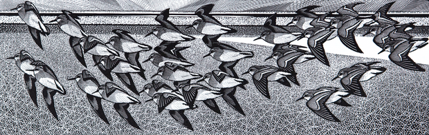 Sandpiper Party by Colin See-Paynton - Davidson Galleries