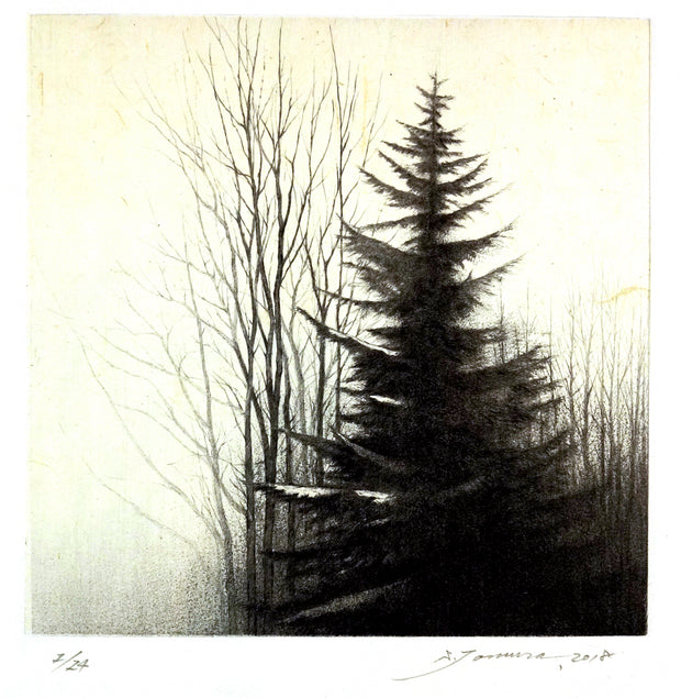 40 N. Latitude IV, Winter by Shigeki Tomura - Davidson Galleries
