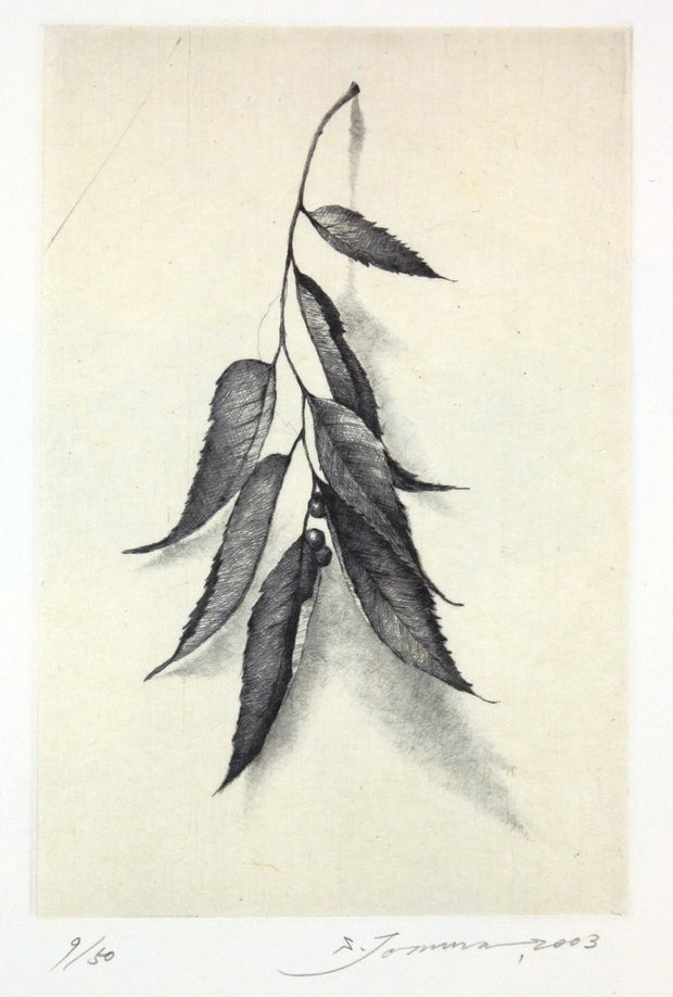 Field Note II by Shigeki Tomura - Davidson Galleries