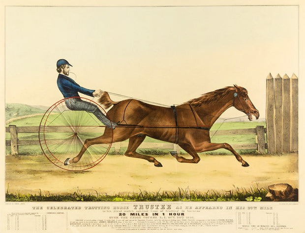 The Celebrated Trotting Horse Trustee As He Appeared in His 20th Mile by John Cameron - Davidson Galleries