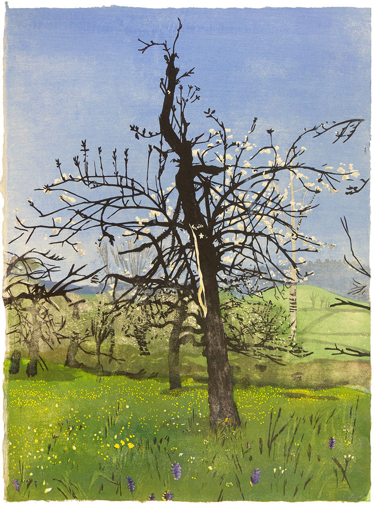 Old Apple Tree (Portrait of my Father) by Eva Pietzcker - Davidson Galleries