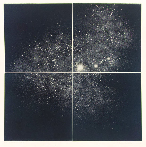 Cosmos - Scene B-2 by Seiko Tachibana - Davidson Galleries
