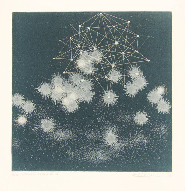 Cosmos - Scene A-14 by Seiko Tachibana - Davidson Galleries