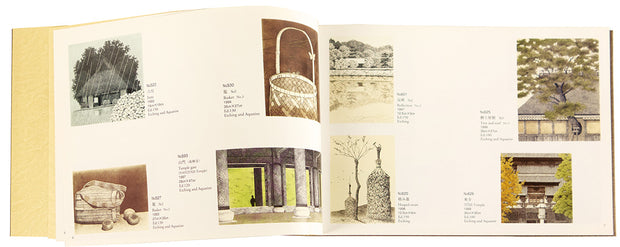 Tanaka Ryohei - Catalogue Raisonné 1990-2000 by Ryohei Tanaka - Davidson Galleries