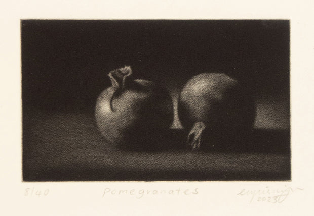 Pomegranates by Cleo Wilkinson - Davidson Galleries