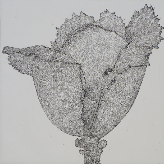 The Cabbage Head by Art Hansen - Davidson Galleries