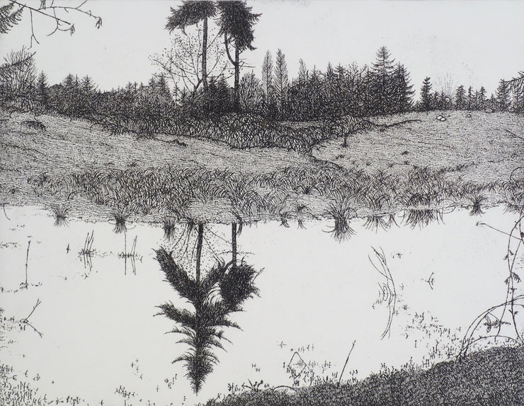 The Pond - March 1978 by Art Hansen - Davidson Galleries