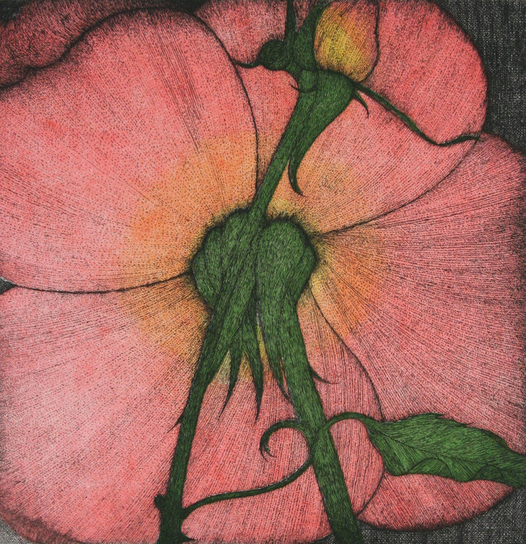 Two Roses #3 by Art Hansen - Davidson Galleries
