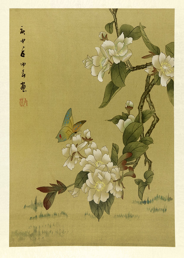 Butterfly and White Flowers by Artist Unidentified - Davidson Galleries