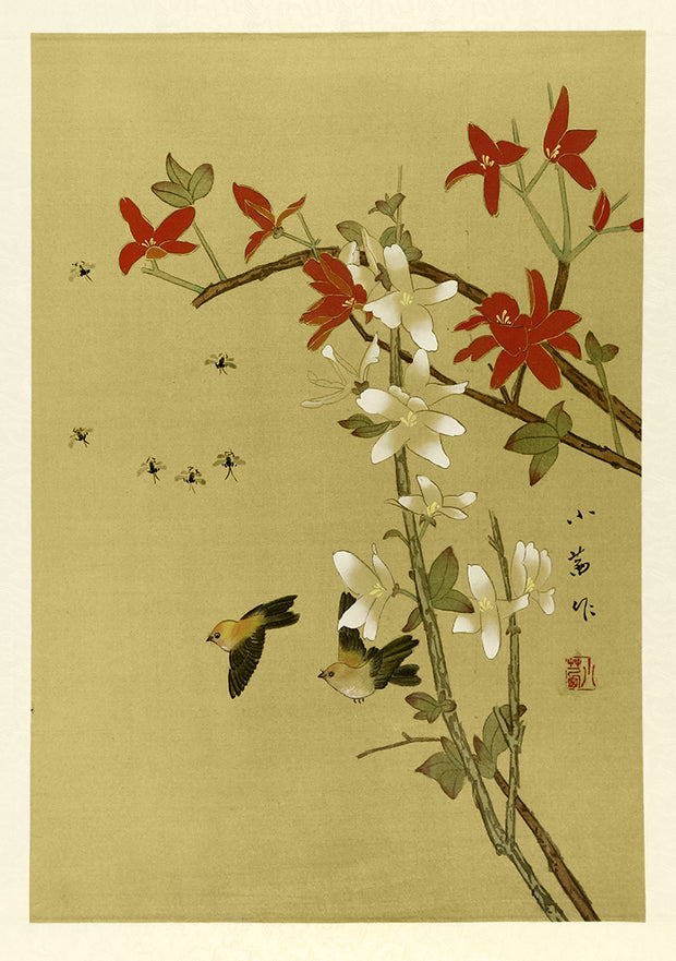 Two Birds and Six Bugs, Red and White Blossom by Artist Unidentified - Davidson Galleries