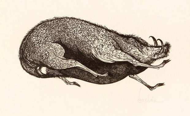 Boar by Leonard Baskin - Davidson Galleries