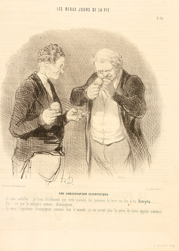Une Consultation Scientifique by Honore Daumier - Davidson Galleries