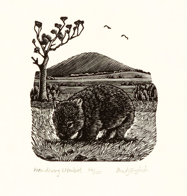 Wandering Wombat by Andy English - Davidson Galleries