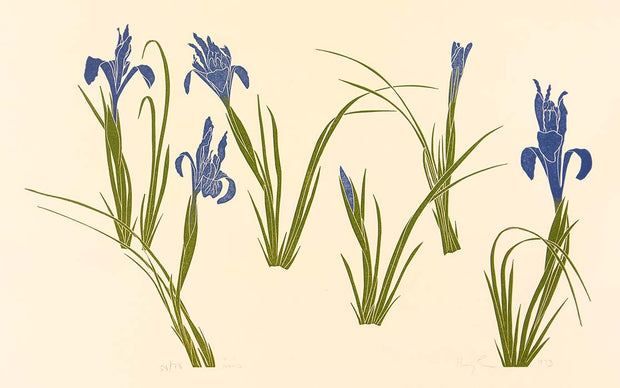 Iris by Henry Evans - Davidson Galleries