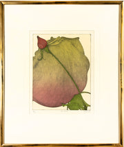 Two Roses by Art Hansen - Davidson Galleries