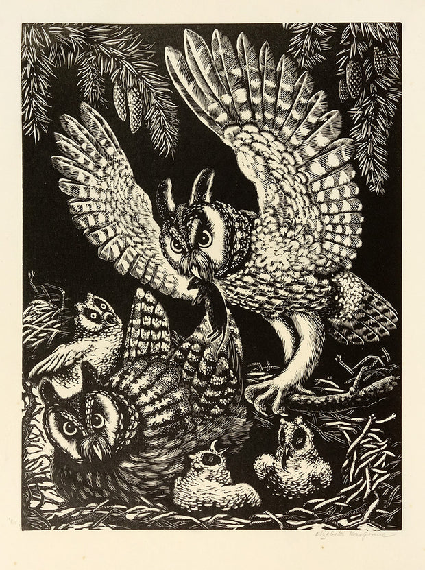 Owls by Elizabeth Hargrave - Davidson Galleries