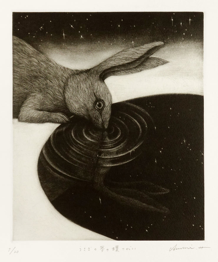 Reflecting a Rabbit's Dream by Asumi Hayashi - Davidson Galleries