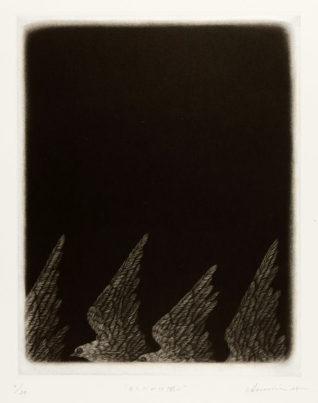 To The Warm Darkness by Asumi Hayashi - Davidson Galleries