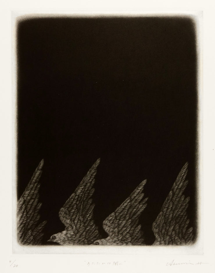 To The Warm Darkness by Asumi Hayashi - Davidson Galleries