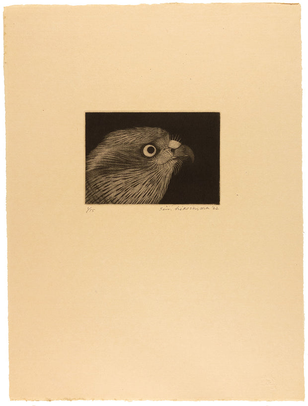 Gyousai's Taka (Hawk) II by Seiichi Hiroshima - Davidson Galleries