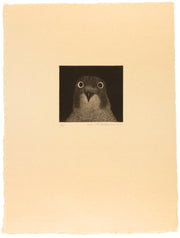 Gyousai's Taka (Hawk) I by Seiichi Hiroshima - Davidson Galleries