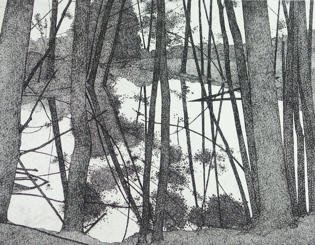 The Pond - Summer 1977 by Art Hansen - Davidson Galleries