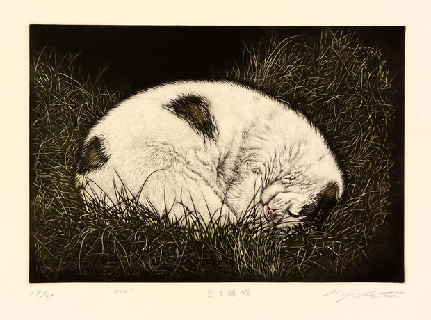 A Cat that looks like mame Daifuku (豆大福猫) by Koji Ikuta - Davidson Galleries