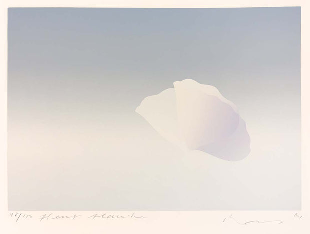 Fleur Blanche by Kozo Inoue - Davidson Galleries