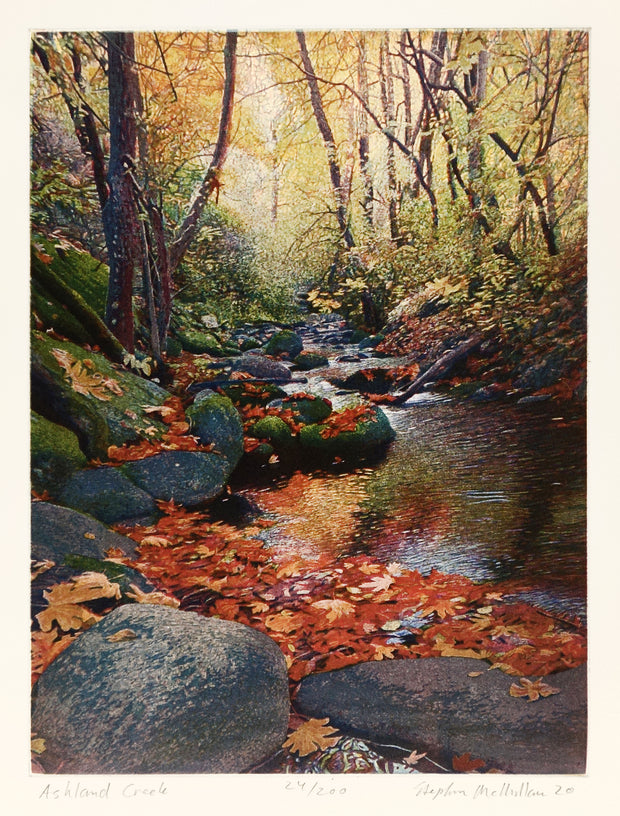 Ashland Creek by Stephen McMillan - Davidson Galleries