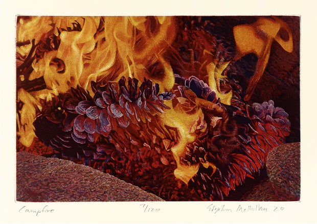 Campfire by Stephen McMillan - Davidson Galleries