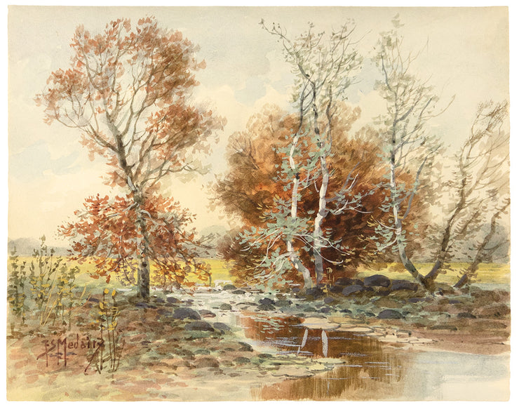 Birch Trees by F.S. Medairy - Davidson Galleries