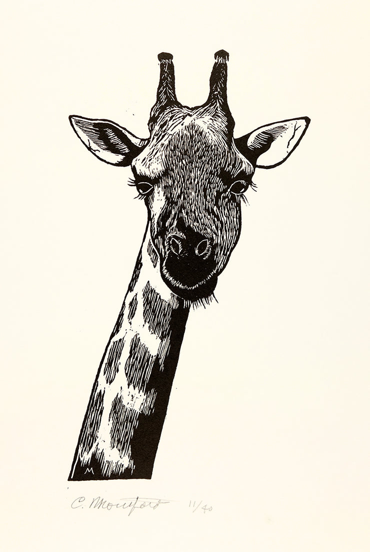 Giraffe by Carl V. Montford - Davidson Galleries