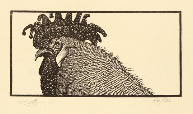 Bestiaire d'Amour (Portfolio of 48 wood engravings) by Barry Moser - Davidson Galleries