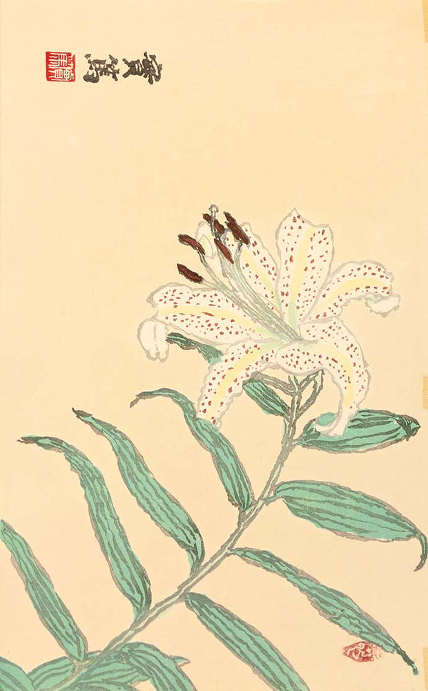Lily by Saneatsu MUSHANOKŌJI - Davidson Galleries