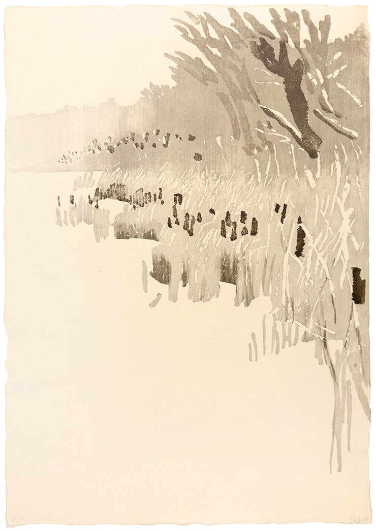 Winter Lake by Eva Pietzcker - Davidson Galleries