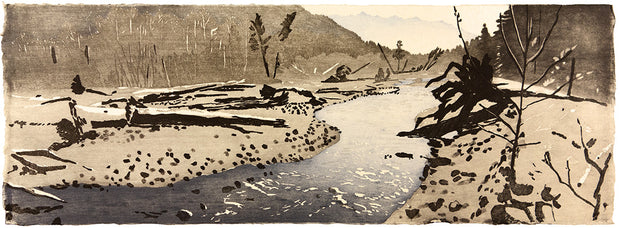 Hoh River by Eva Pietzcker - Davidson Galleries