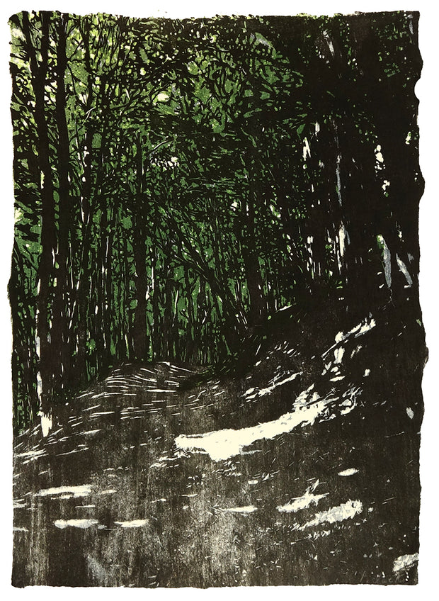 Forest Path by Eva Pietzcker - Davidson Galleries