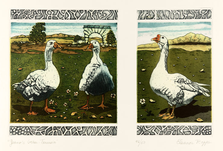 Juno's Geese - Tunisia by Eleanor Rappe - Davidson Galleries