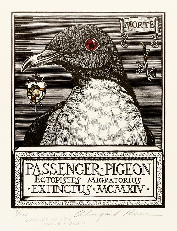 Passenger Pigeon by Abigail Rorer - Davidson Galleries