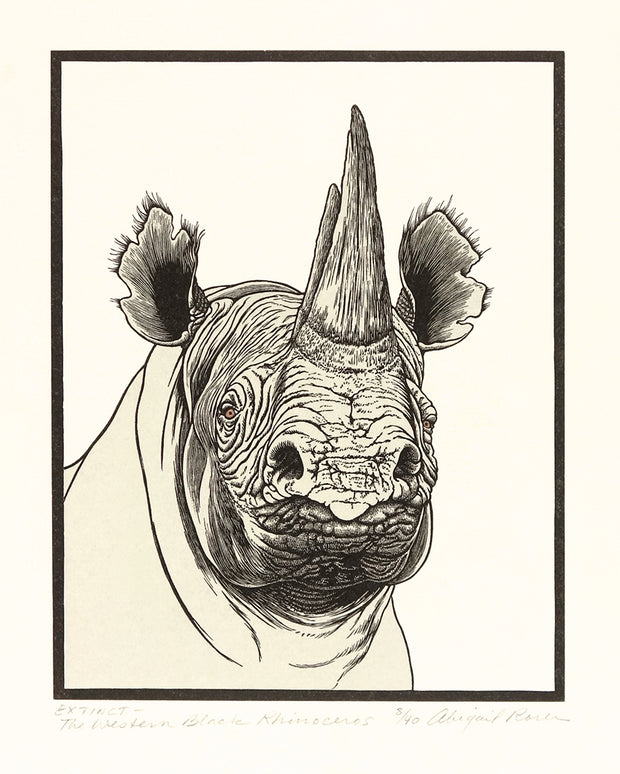 Extinct – The Western Black Rhinoceros by Abigail Rorer - Davidson Galleries