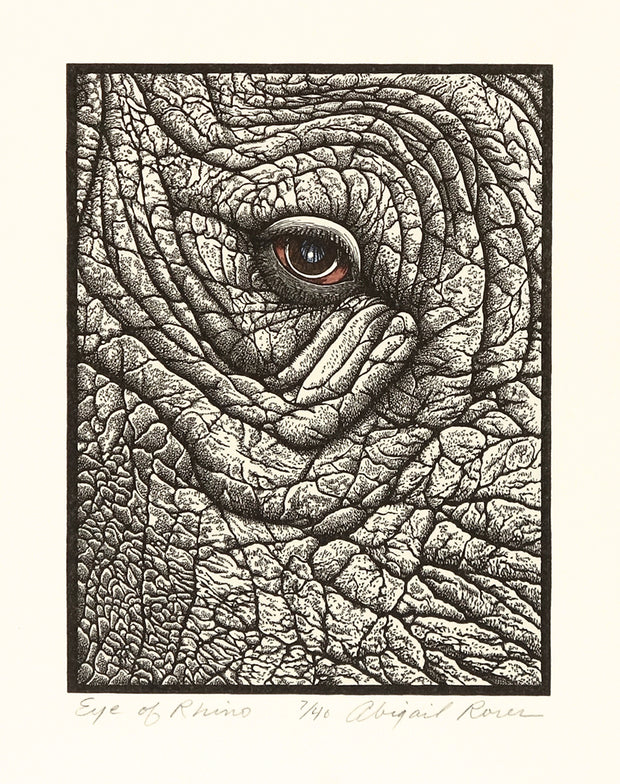 Eye of Rhino by Abigail Rorer - Davidson Galleries