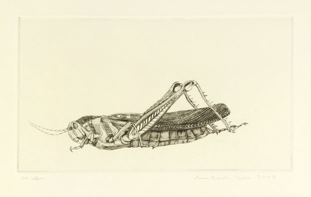 Grasshopper (Side View, White Background) by Arne Bendik Sjur - Davidson Galleries