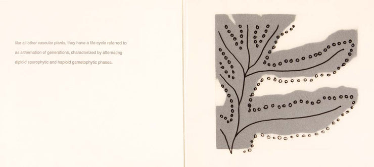 Fern (Artist Book) by Seiko Tachibana - Davidson Galleries